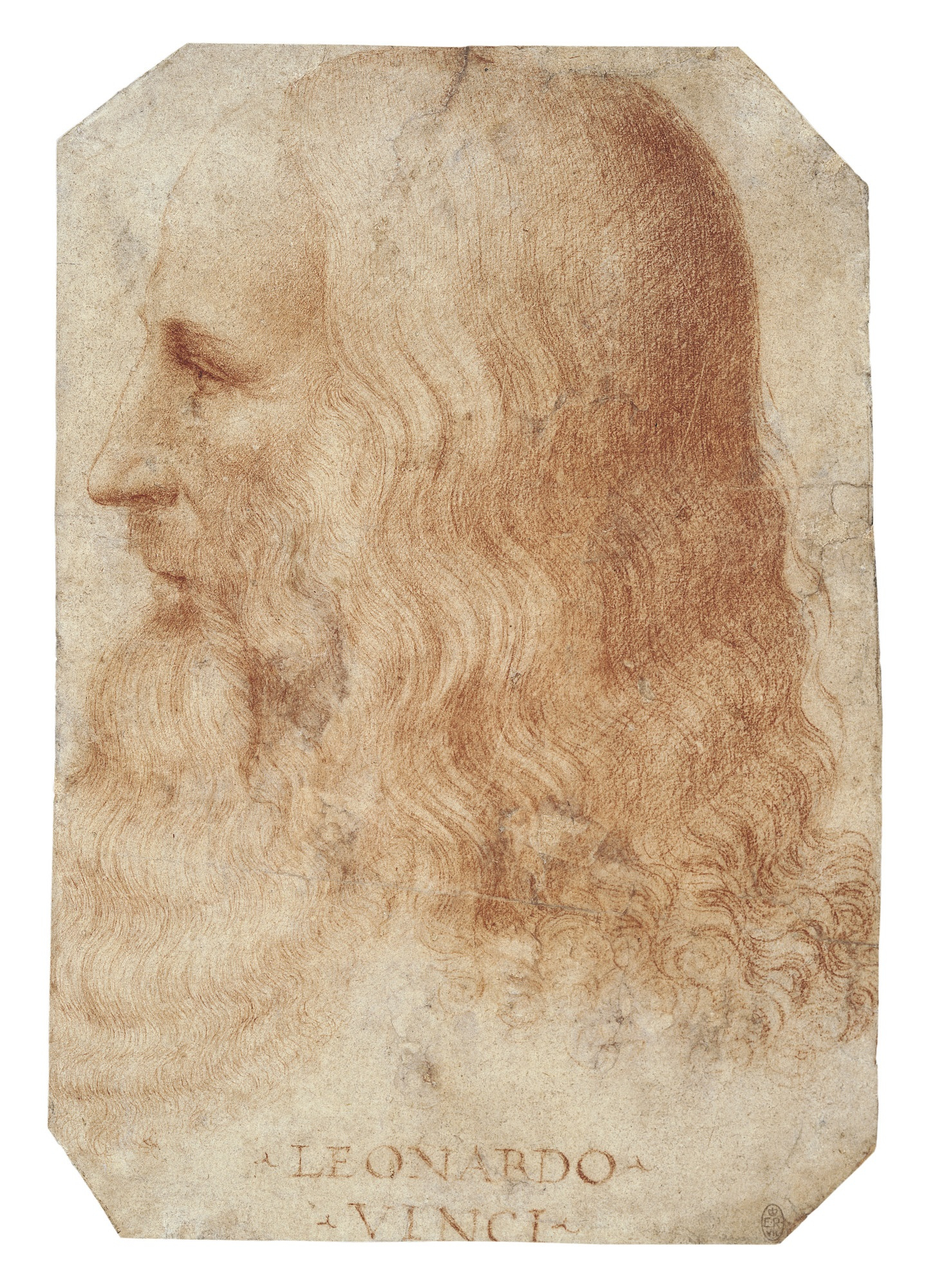 Leonardo Da Vinci: A Life In Drawing throughout Leonardo Da Vinci Drawings