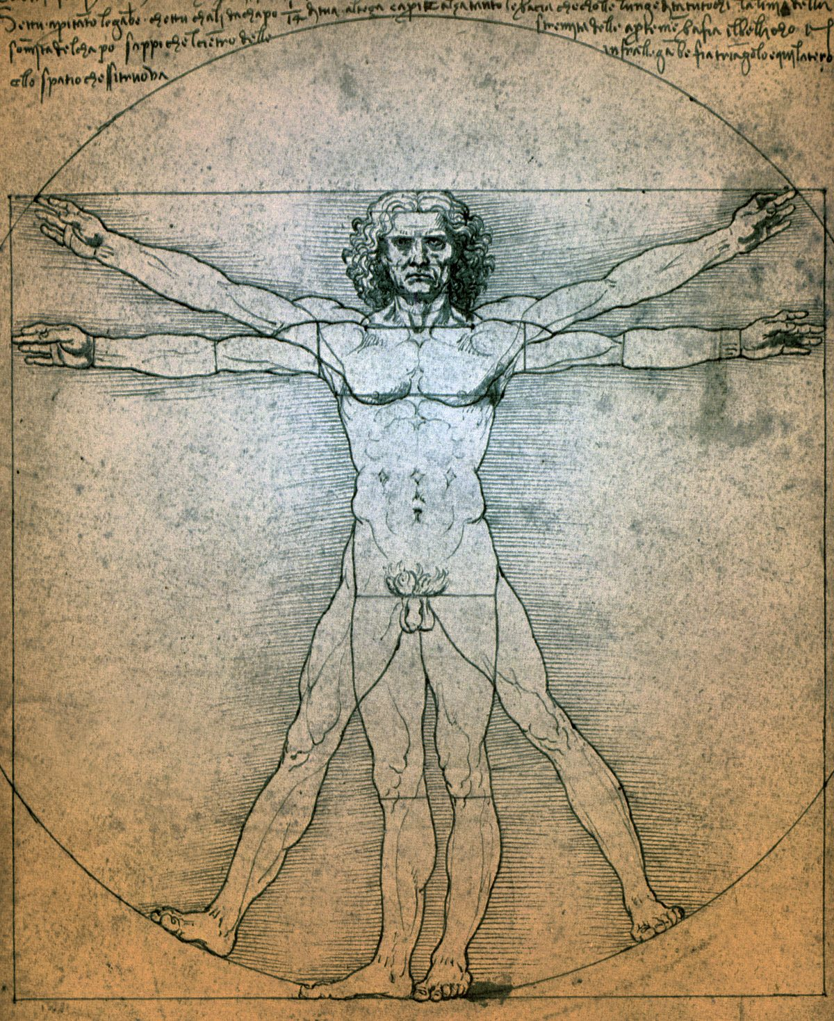 Leonardo Da Vinci&#039;S Life To Be Portrayed On Screen | Freeyork in Drawings By Leonardo Da Vinci