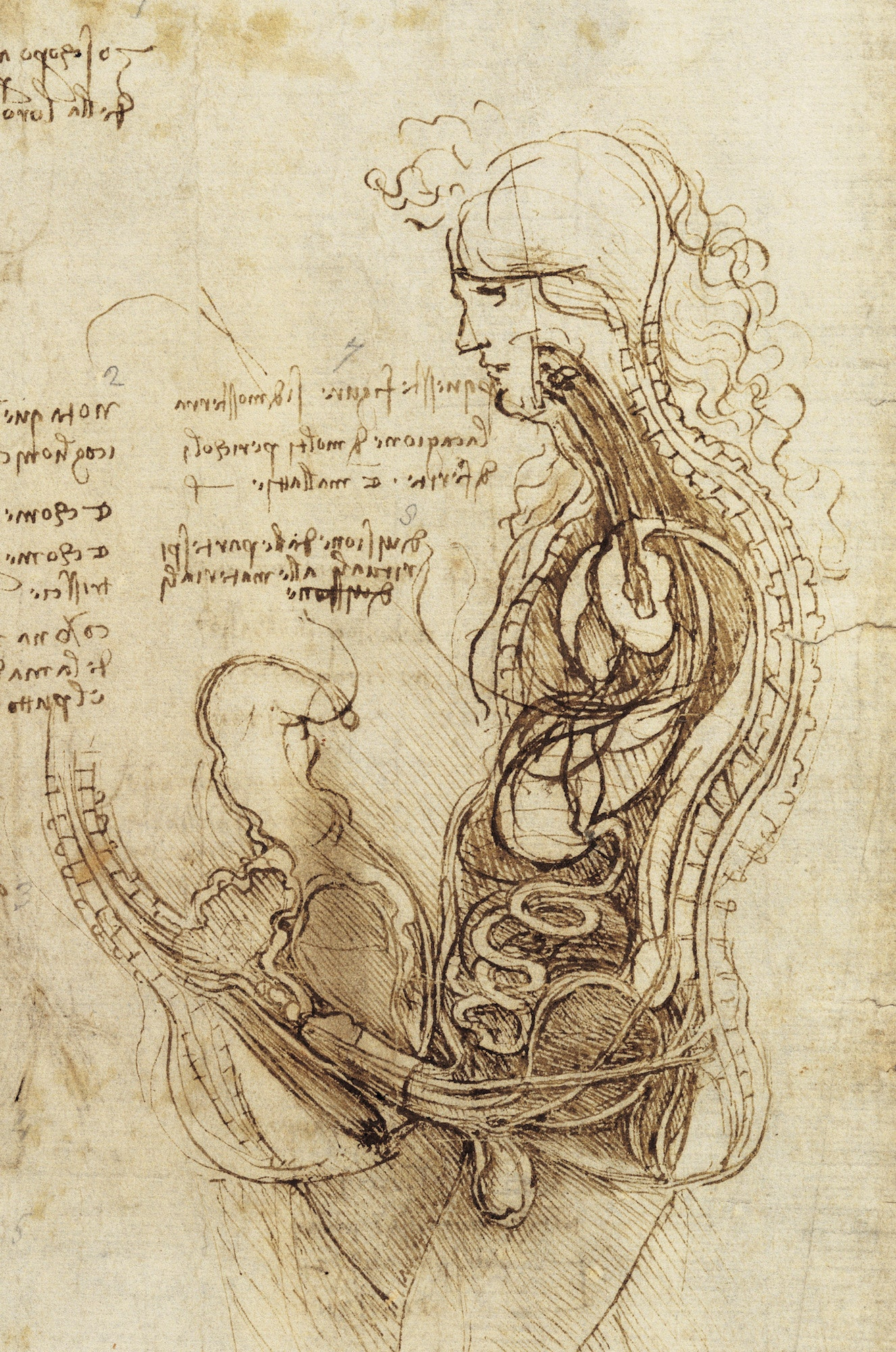 Leonardo Davinci Drawings Discovered A 16 Million Leonardo Da Vinci regarding Leonardo Da Vinci Drawings
