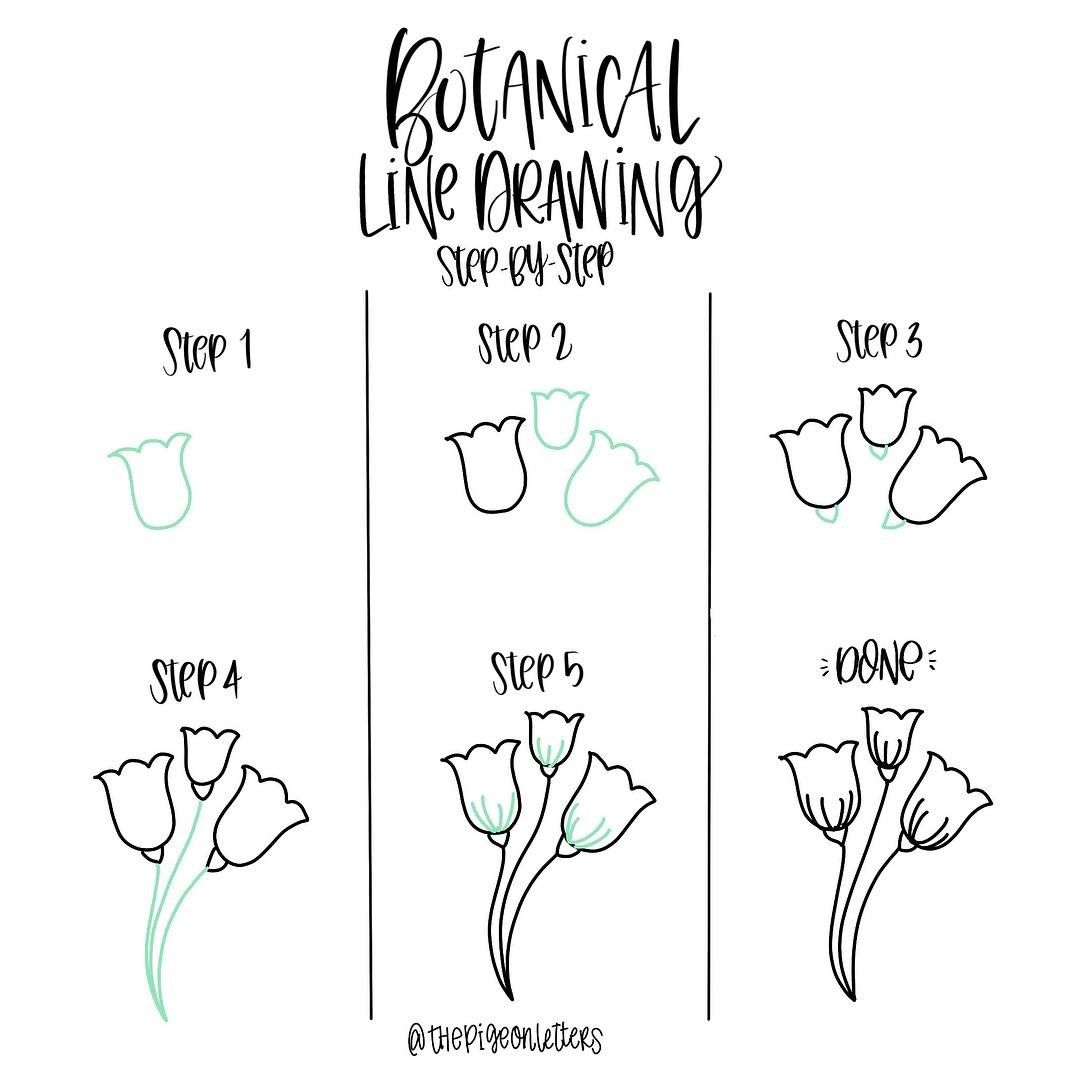 Pin On Drawing Easy And Rock Ideas intended for Botanical Line Drawing Pdf