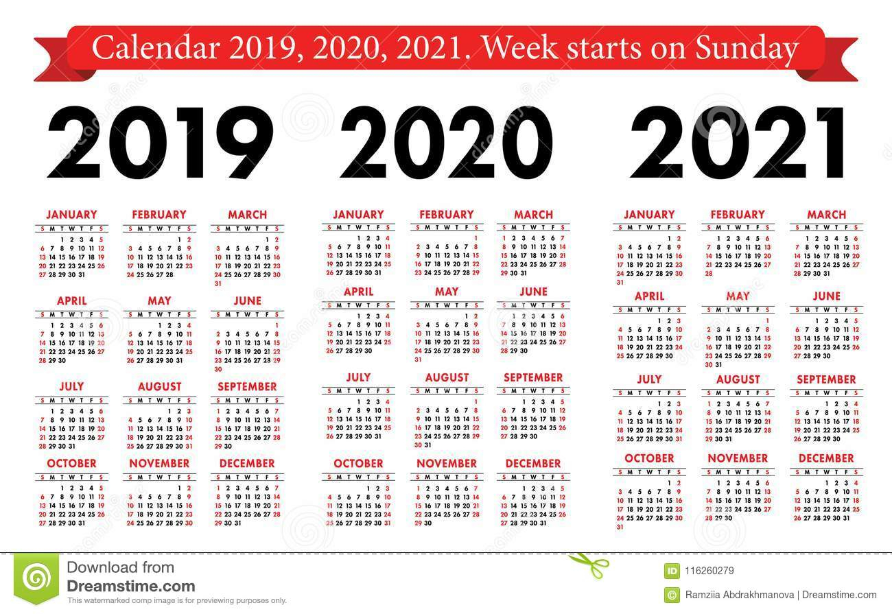 Pocket Calendar 2019, 2020, 2021 Set. Basic Simple Template. Week intended for Sunday Start Pocket Ring Planner