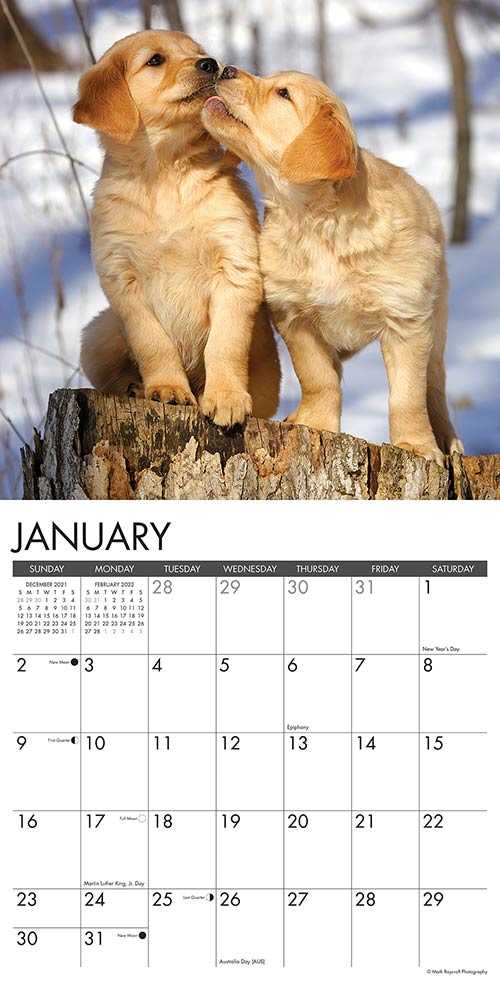 Puppy Playmates Calendar 2022 Willow Creek | Animalden with regard to Usmc Holiday Schedule 2022