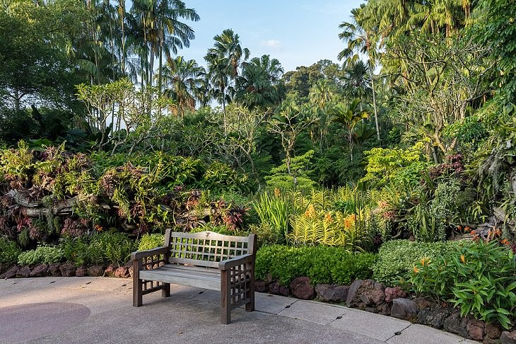 Singapore Botanic Gardens And Its Many Attractions within Florist Singapore Botanical Garden