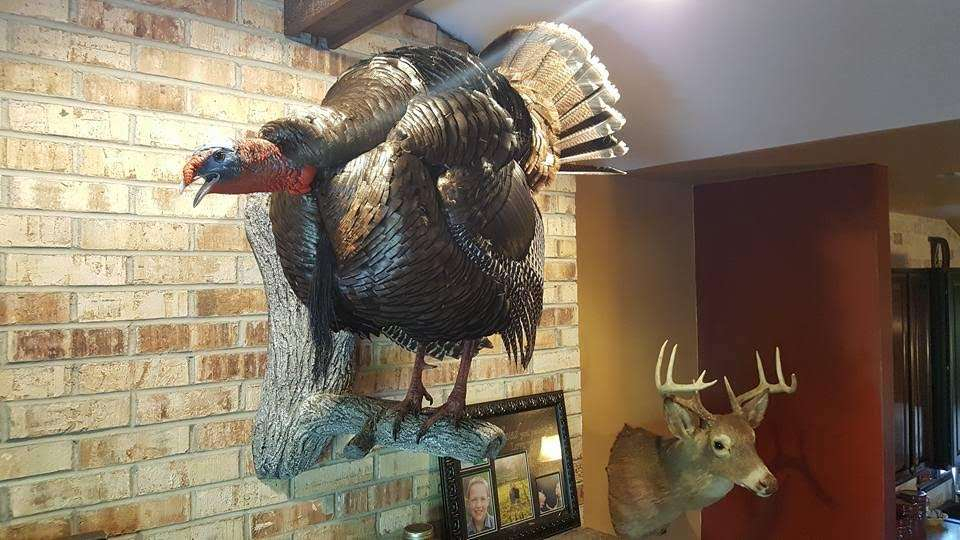 Spring Turkey Hunt Indiana, United States Bookyourhunt with Wisconsin Deer Season 2022