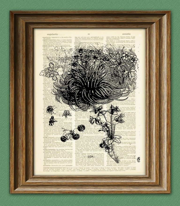 Star Of Bethlehem Plant From Leonardo Davinci Botanical Sketch On within Da Vinci Botanical Drawings