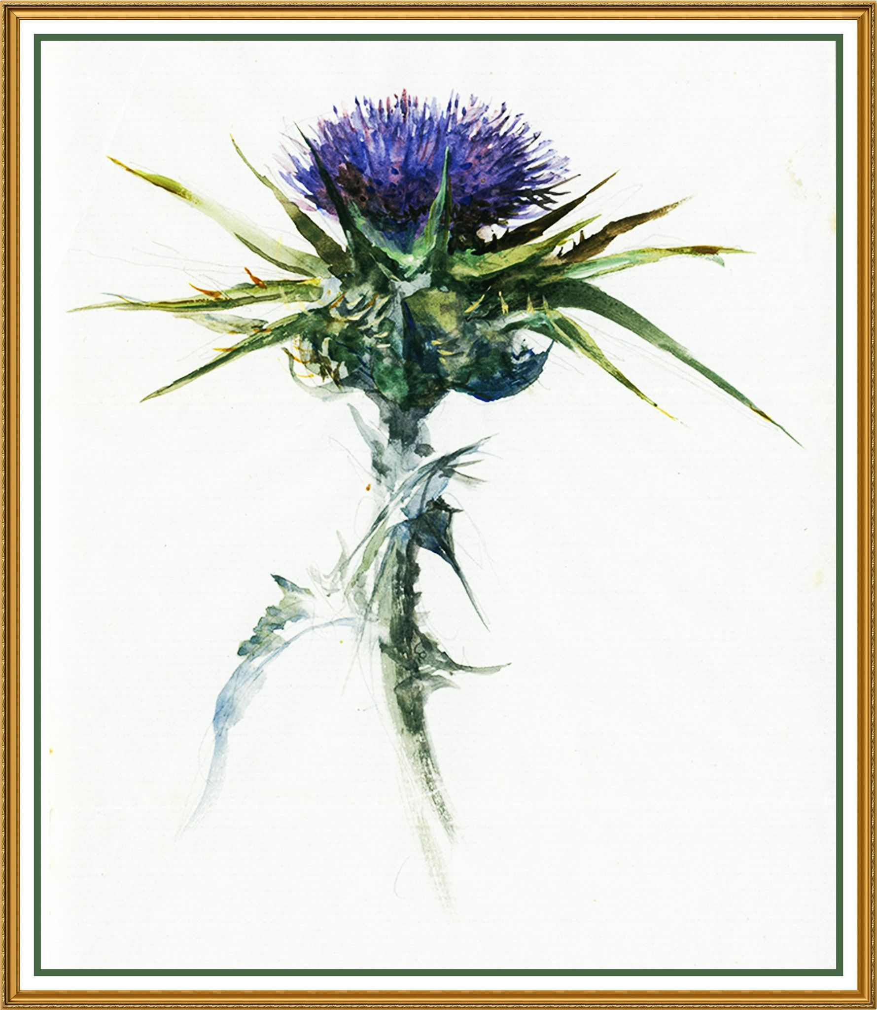 Study Of A Thistle Flower By John Ruskin Counted Cross Stitch Or intended for John Ruskin Botanical Drawings - Botanical Gallery Calendargraphicdesign.com