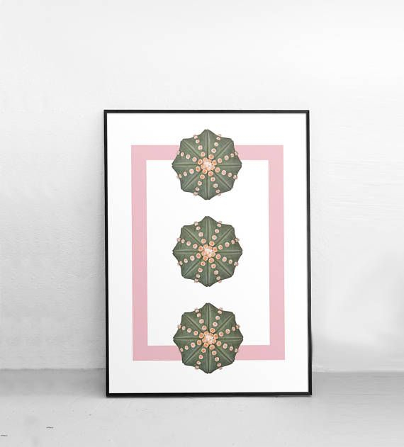 Succulent Botanical Print Is A High Quality Instantly Downloadable with regard to High Quality Botanical Prints