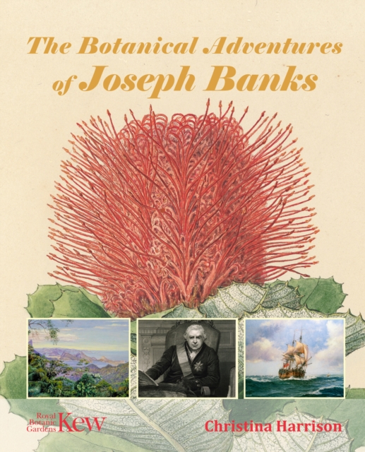The Botanical Adventures Of Joseph Banks From Summerfield Books for Joseph Banks Botanical Drawings