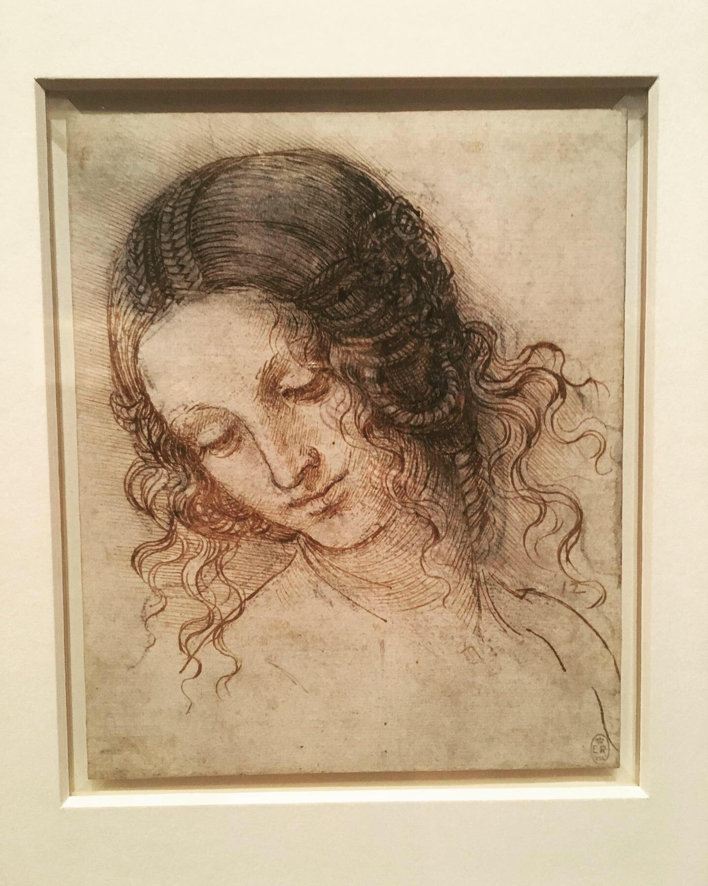 The Head Of Leda C. 150406 (Featured In Leonardo Da Vinci: A Life In with Da Vinci Botanical Drawings