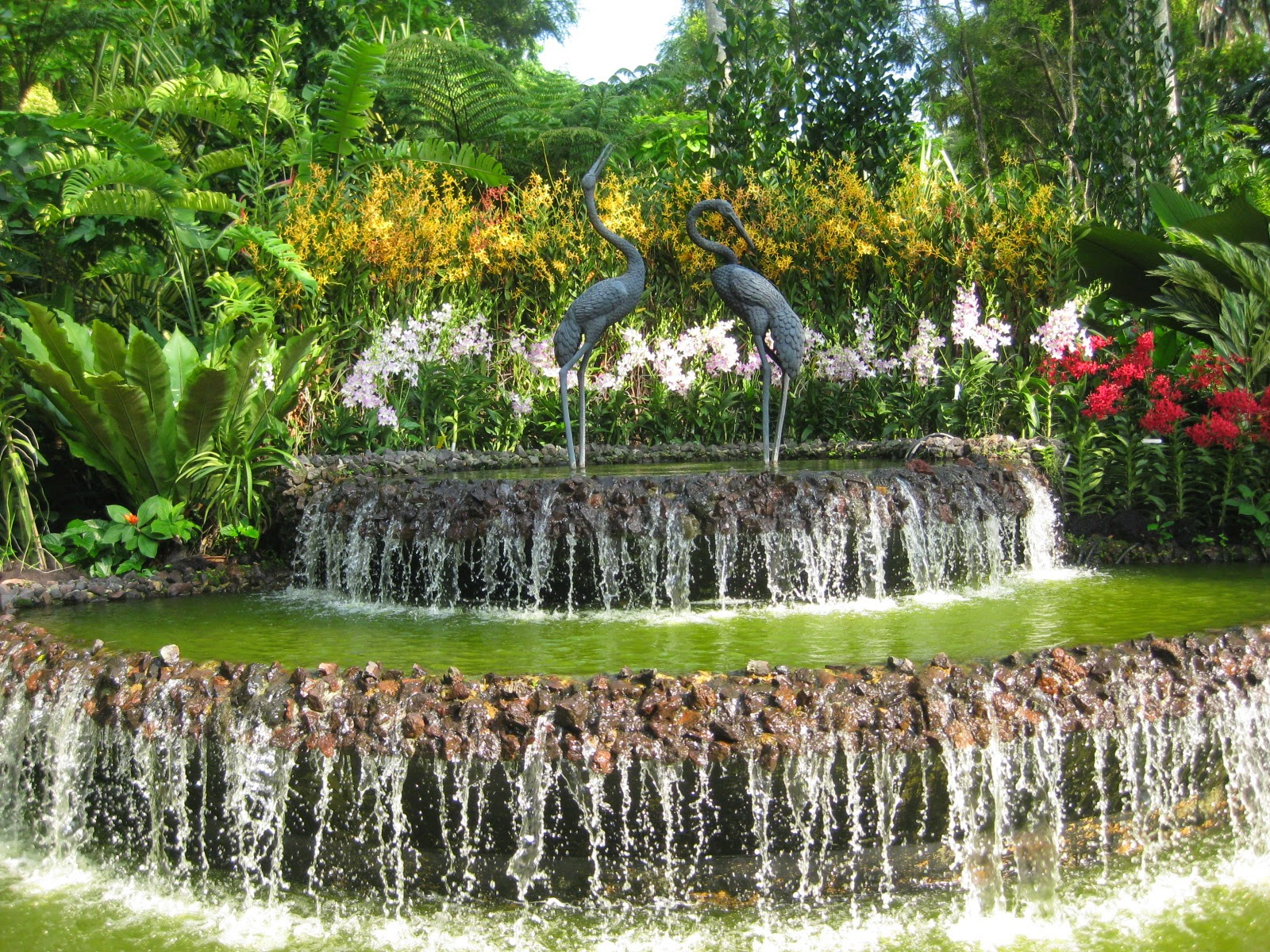 The Karmi&#039;S..journey Of Our Little Family..: National Orchid Garden throughout Florist Singapore Botanical Garden