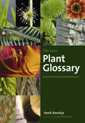 The Kew Plant Glossary: An Illustrated Dictionary Of Plant Terms By for ▍《The Kew Book Of Botanical Illustration》