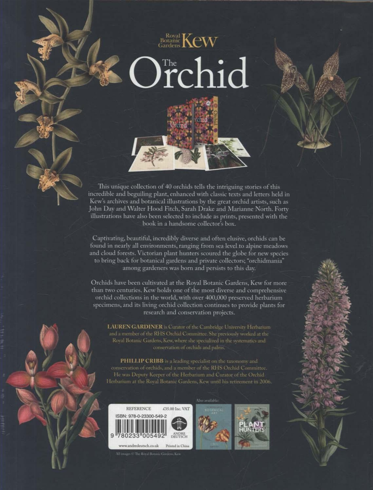 The Orchid (Royal Botanical Gardens, Kew) From Summerfield Books for Kew Book Of Botanical Illustration