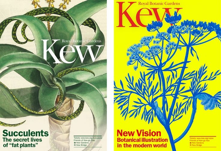 The Royal Botanical Gardens, Kew — Pentagram | Botanical Gardens, Kew with ▍《The Kew Book Of Botanical Illustration》
