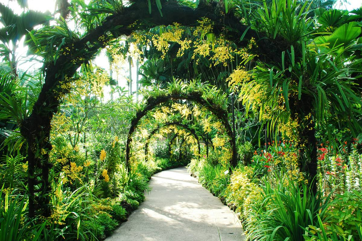 The Vanderlust, Singapore Botanic Gardens with Florist Singapore Botanical Garden