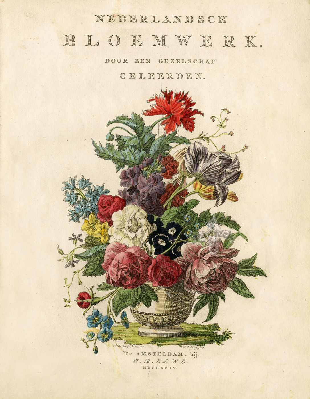 Title Page Of A 1794 Botanical Print Book. | Botanical Drawings pertaining to ▍《The Kew Book Of Botanical Illustration》