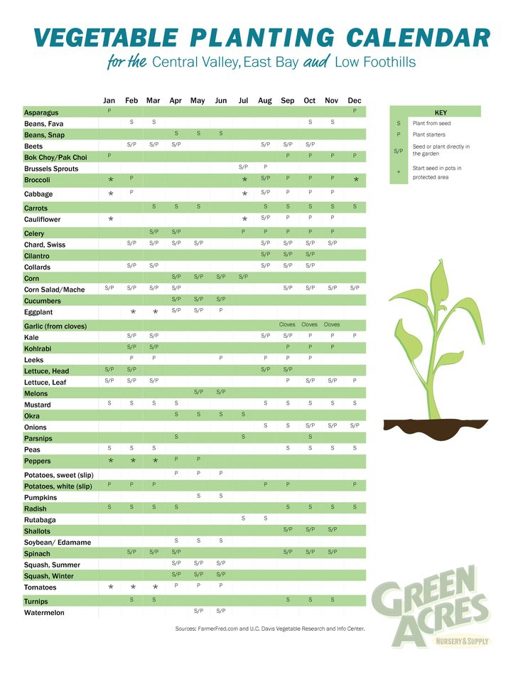 Vegetable Planting Calendar | Vegetable Planting Calendar, Planting for Printable Growing Calender Australia