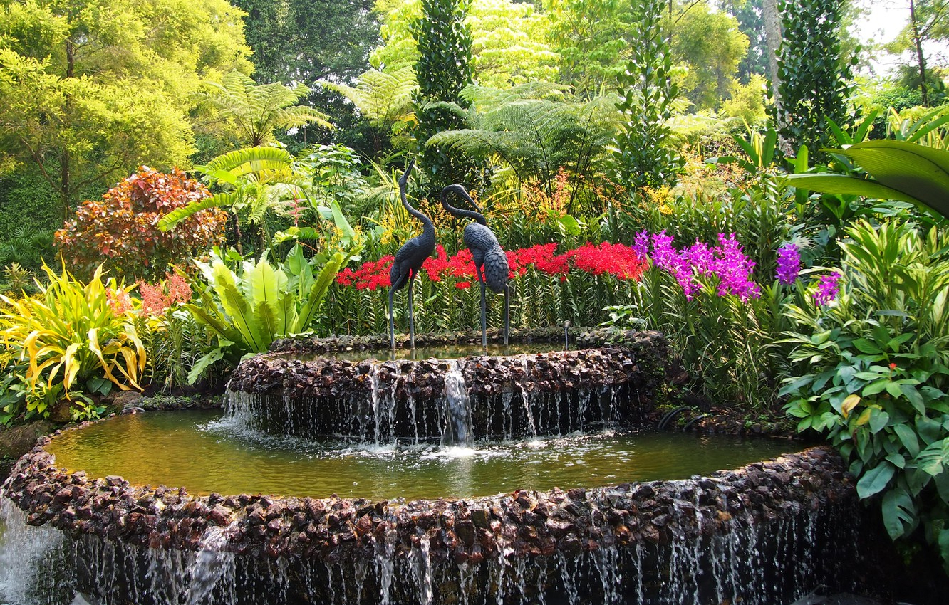 Wallpaper Trees, Flowers, Birds, Garden, Singapore, Fountain, The within Florist Singapore Botanical Garden