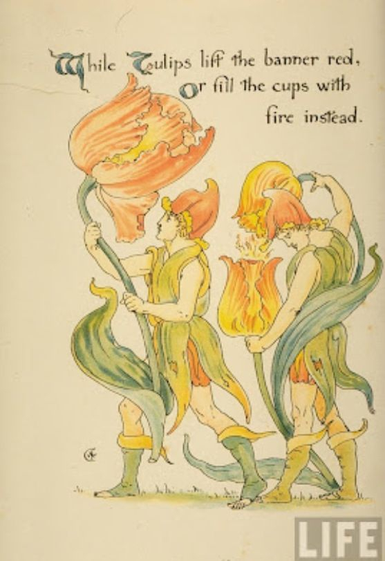 Walter Crane | Walter Crane, Children&#039;S Book Illustration, Illustrators throughout Diploma In Botanical Illustration