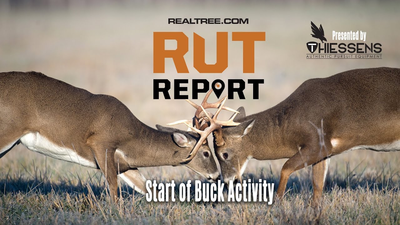 When Is The Illinois Deer Rut In 2021 | Calendar Printables Free Blank with regard to Rut In Minnesota Calendar Printables Free Blank