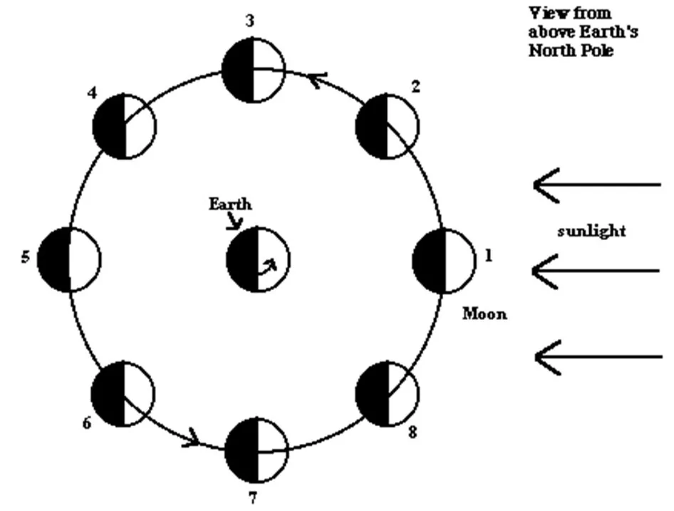 Lunar and solar cycle diagram on calendar